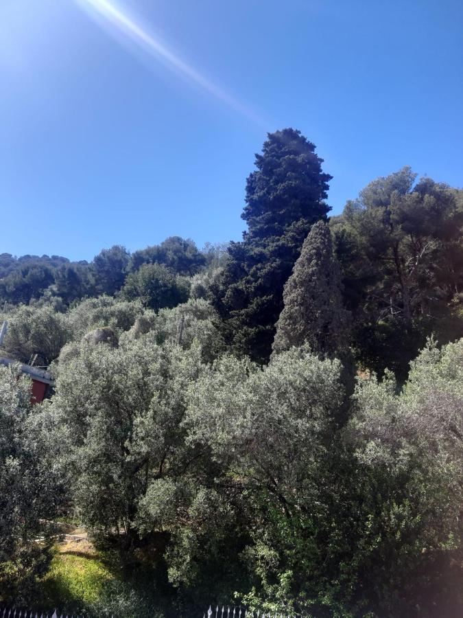 Spectacular Sea View - 3 Minutes Walk From The Sea Villa Laigueglia Exterior photo