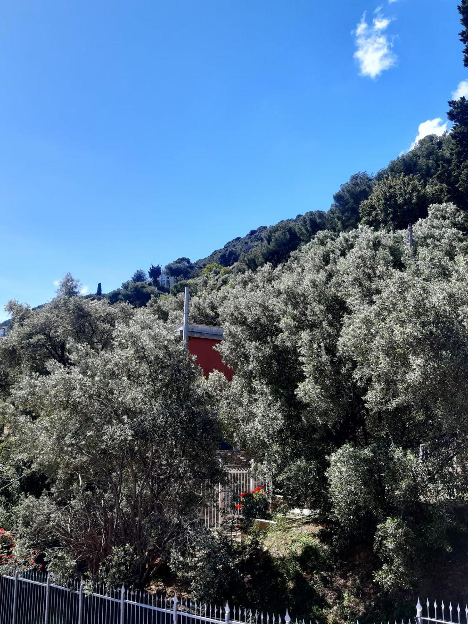 Spectacular Sea View - 3 Minutes Walk From The Sea Villa Laigueglia Exterior photo